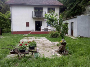 Šumska idila Rakovac, Zmajevac